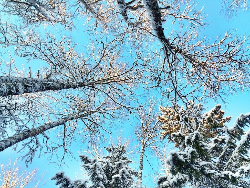 Finland