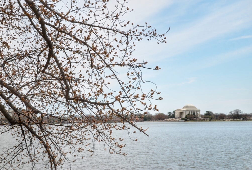 Washington DC